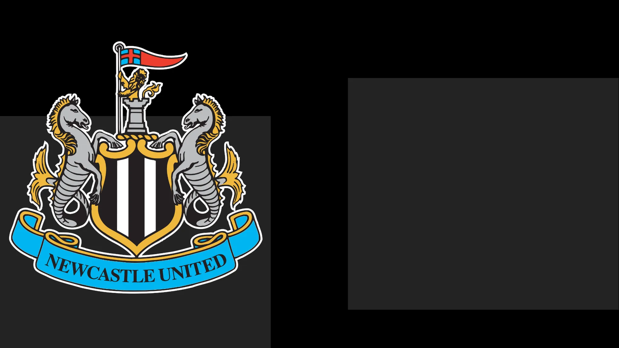 Newcastle's boss Praises Team's Heart – Yet That Only Carries Them To a Point