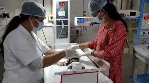 Newborn Buried Alive in the Country Struggles for Her Life